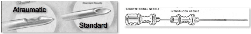 LPneedles.jpg