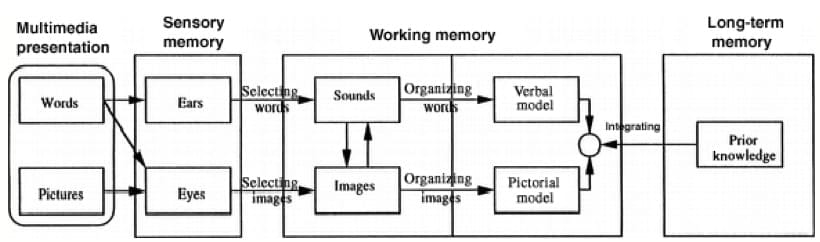 DualChannel