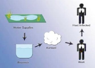 Legionella Infection