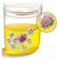 UrineBacteria