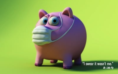 SwineFlu-1 influenza