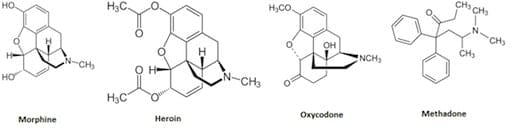 Opioid structures