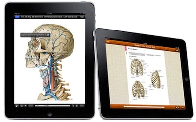 iPad Anatomy screen