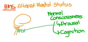 Altered Mental Status