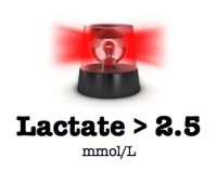 LactateMore2.5