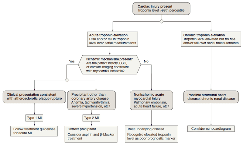 Type 2 MI algorithm