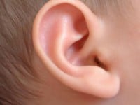 Ear pediatric