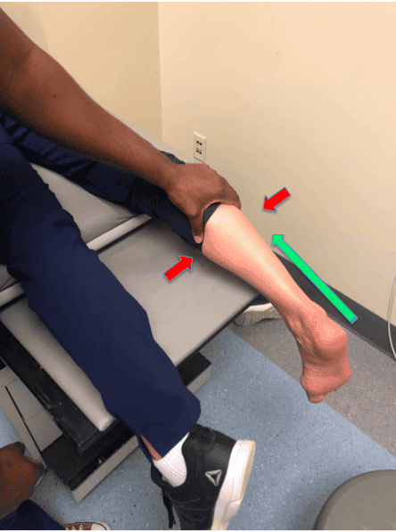 ankle anatomy