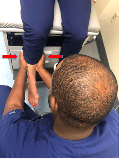 ankle anatomy