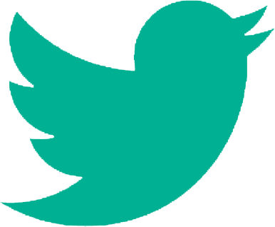 Twitter icon turquoise
