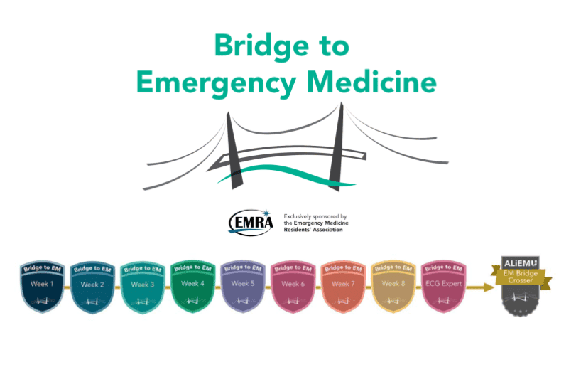 bridge to em