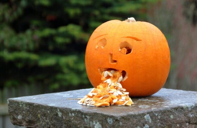 vomit suction emesis pumpkin