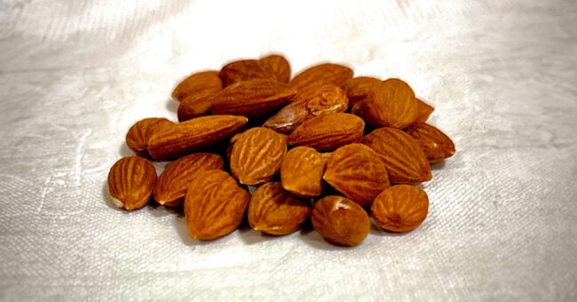 apricot seeds toxicology cyanide