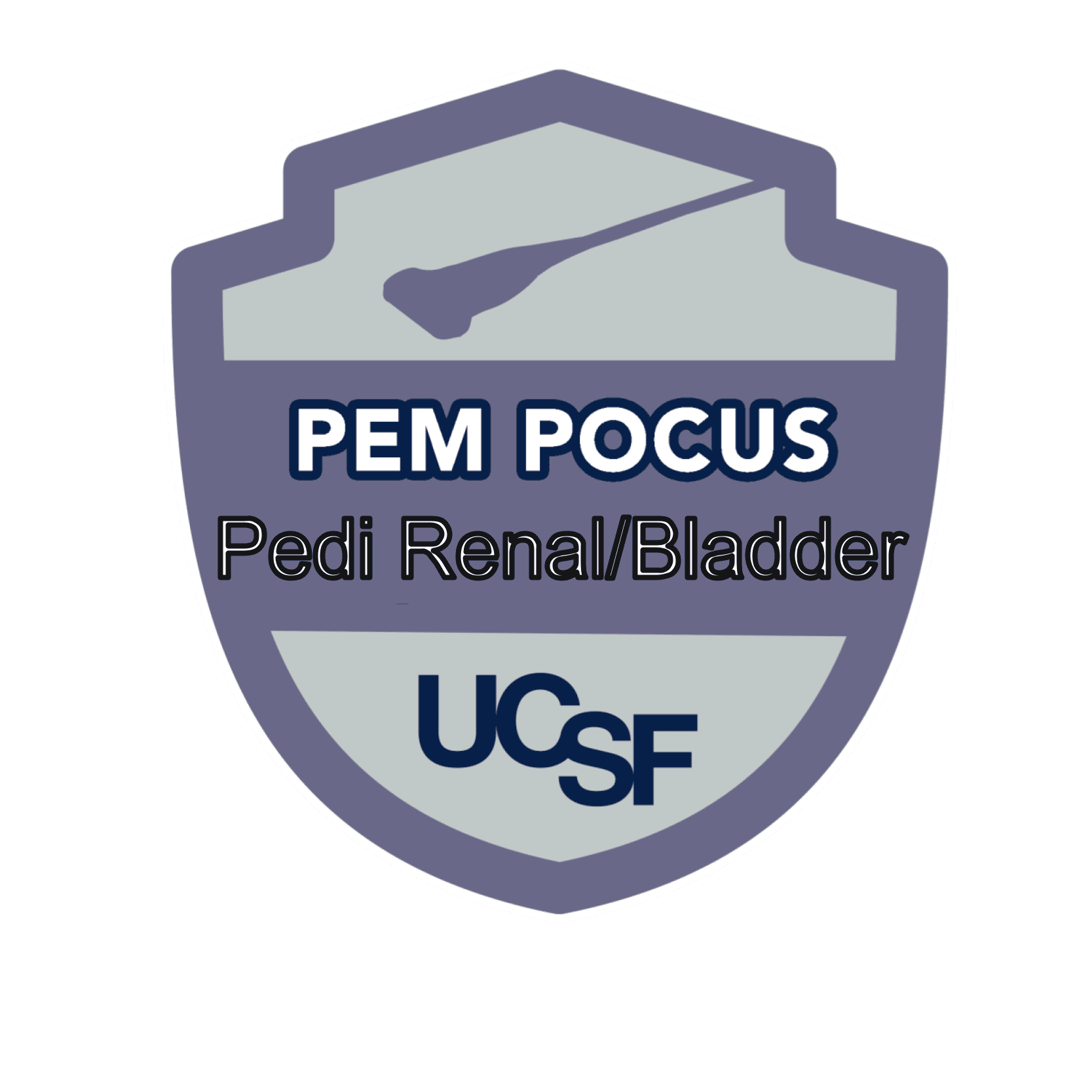 PEM POCUS Badge Pediatric Renal Bladder PEM POCUS fascia iliaca block