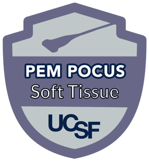 PEM POCUS fascia iliaca block