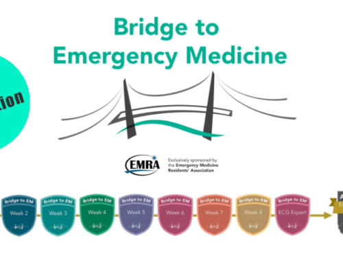 Hot off the press: Bridge to EM curriculum (2nd edition) released