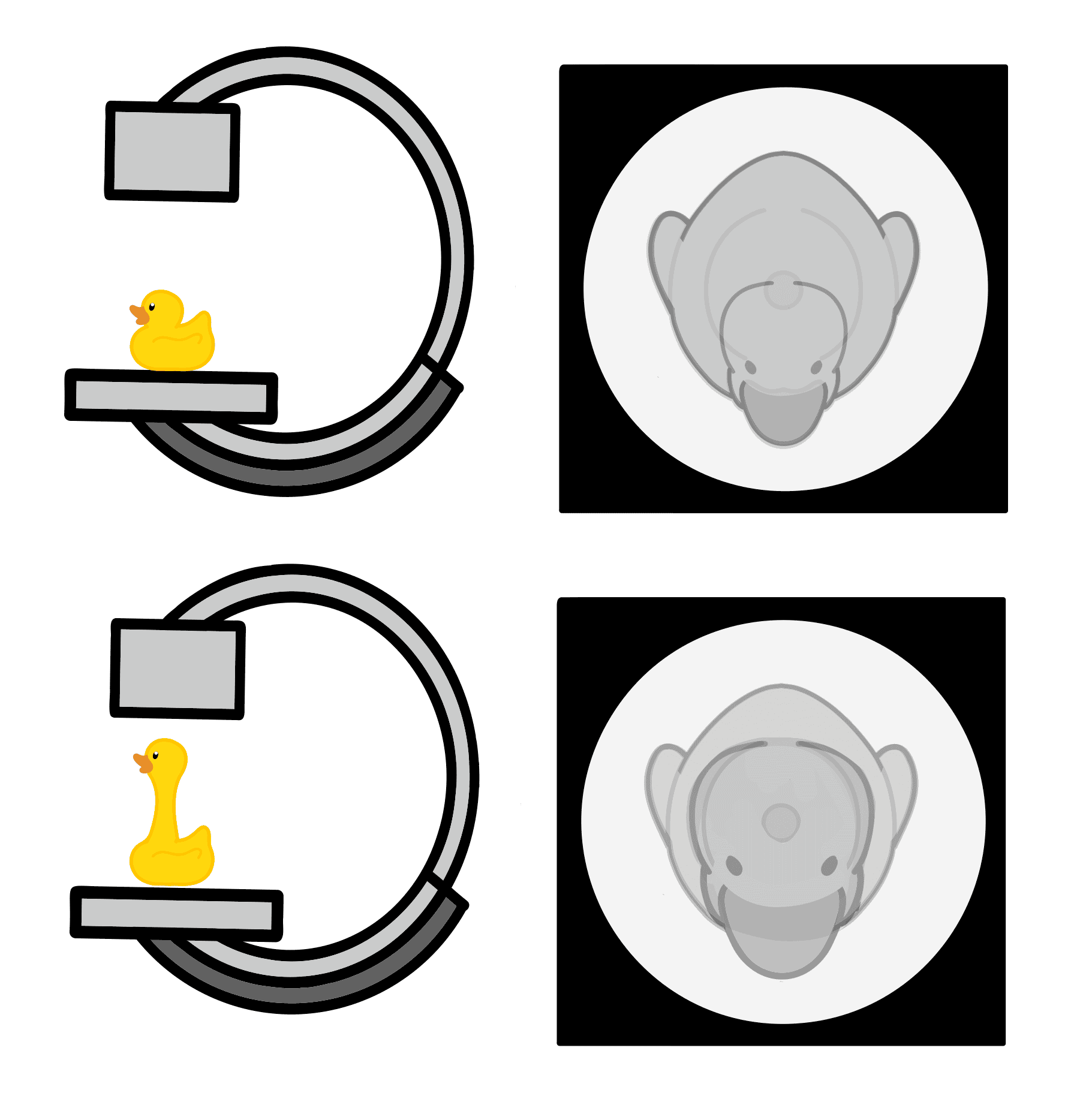 llustrated mini C-arm image of rubber duck