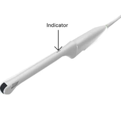 Endocavitary probe