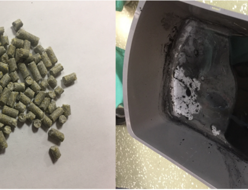 ACMT Toxicology Visual Pearl – Black Vomit, Big Problem
