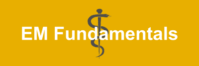 EM Fundamentals Banner