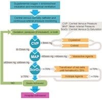 sepsismanagementchart